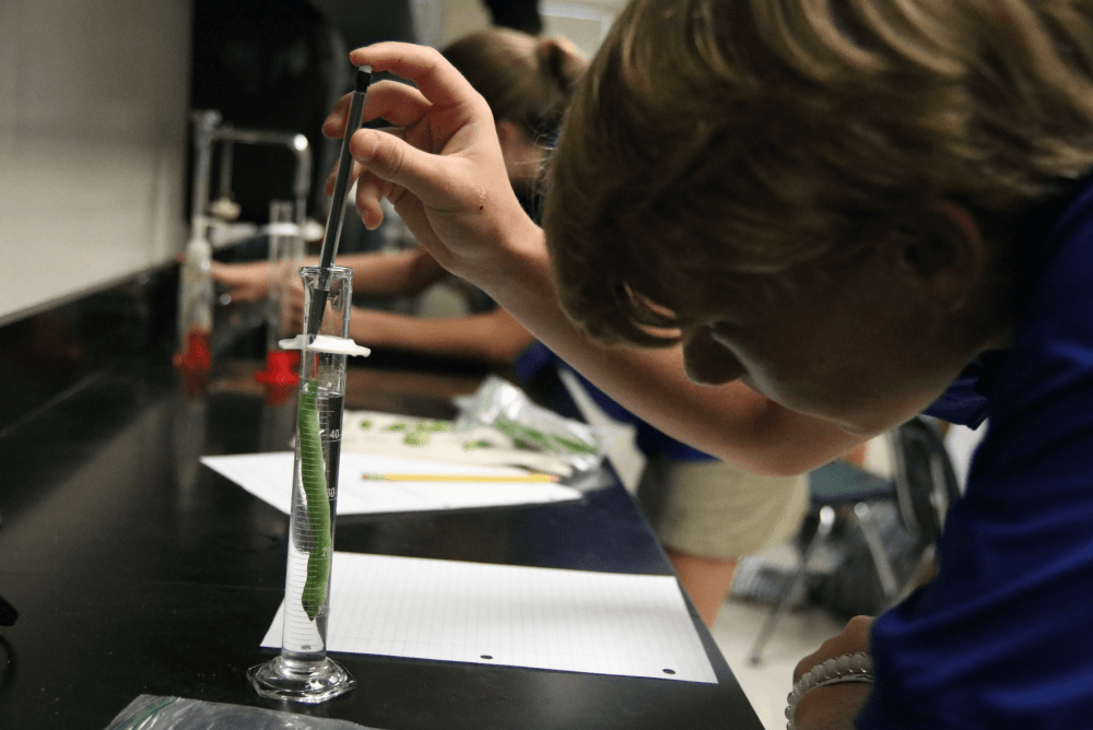 Thrive in Biology Lab Incorporating Metric Measurements and the Scientific Method Upper School Students
